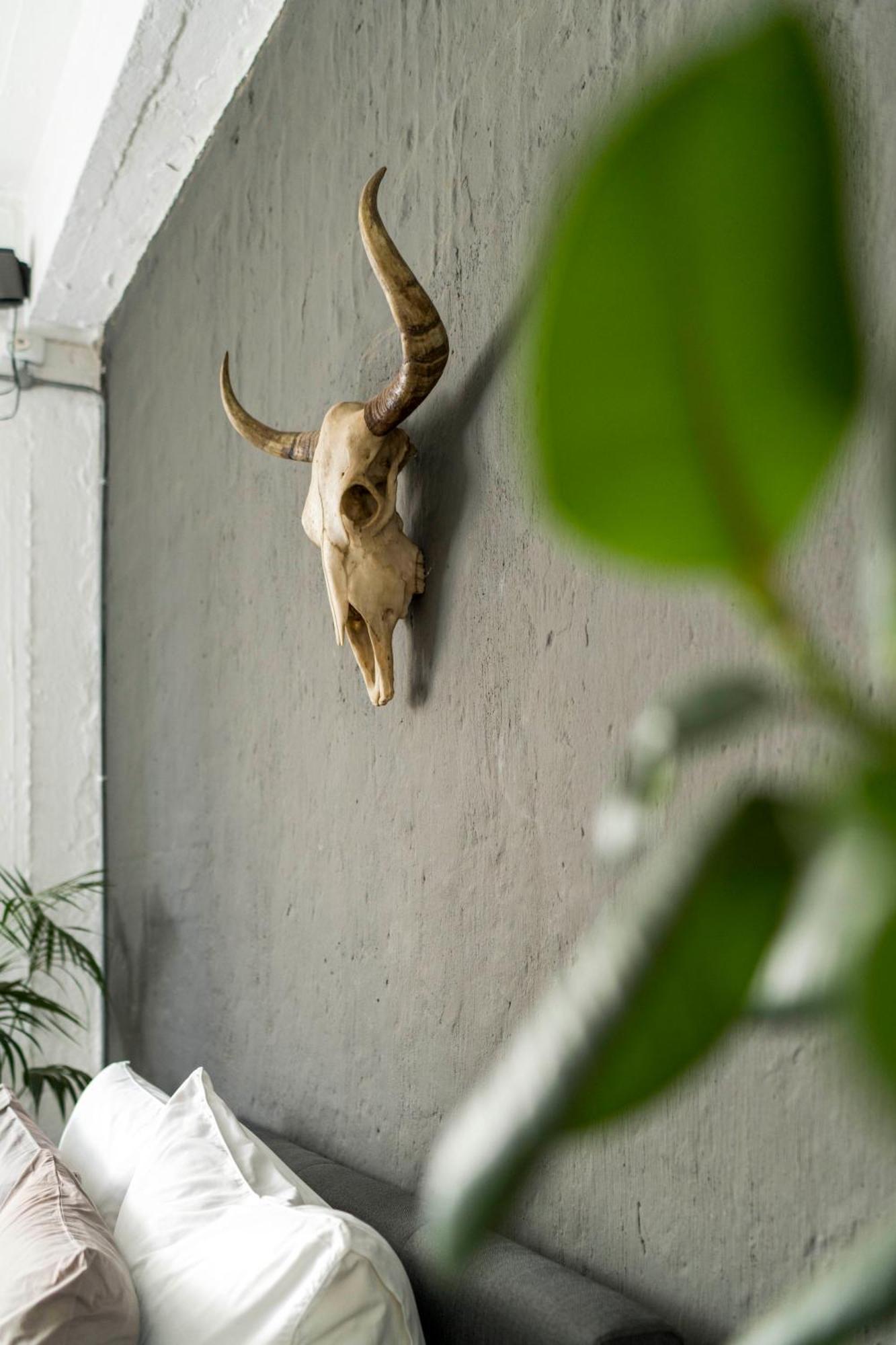 Urban Fox Penthouse By Curiocity โจฮันเนสเบิร์ก ภายนอก รูปภาพ